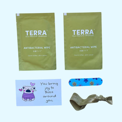 Antibacterial wipes, nail file and hair tie.